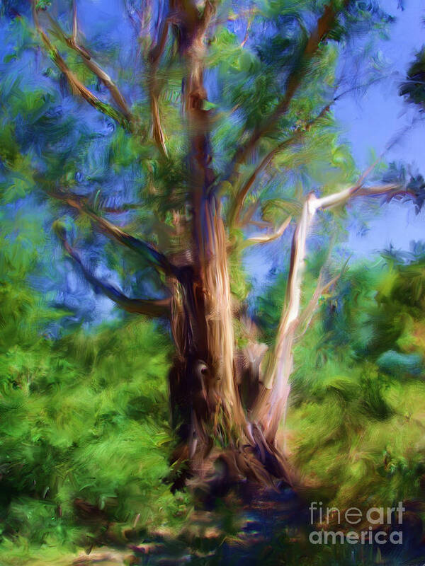 Australia Poster featuring the digital art Australian Native Tree 7 by Russell Kightley