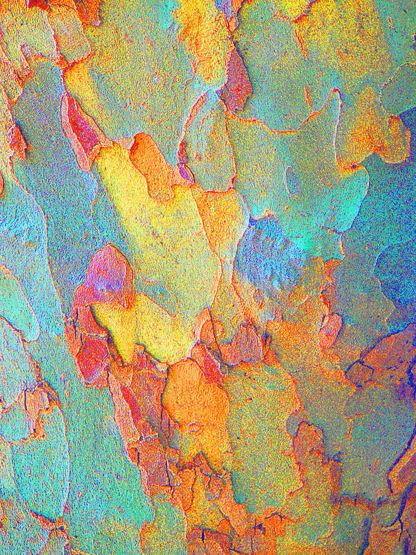 Bark Poster featuring the photograph Autumn London Plane Tree Abstract 2 by Margaret Saheed