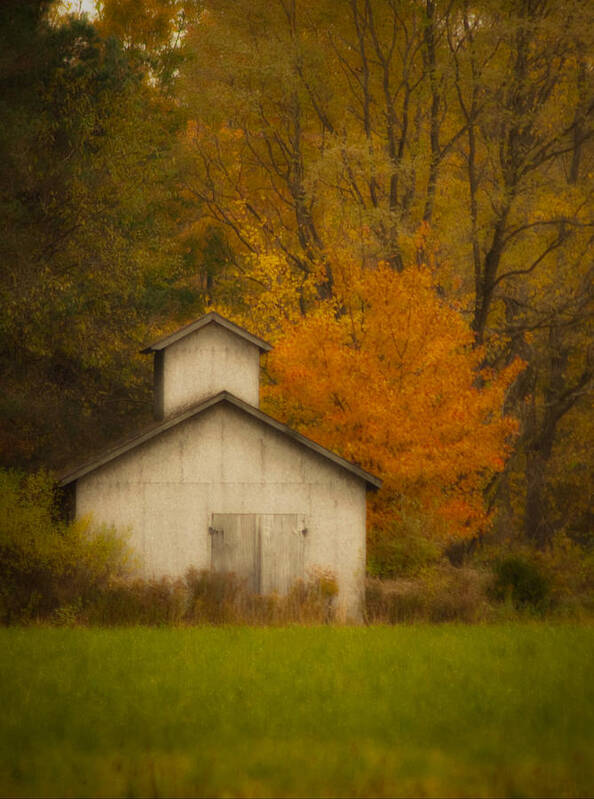 Autumn Poster featuring the photograph Autumn Solace by Cindy Haggerty