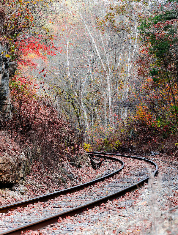 Kentucky Poster featuring the photograph Autumn Tracks by Mary Carol Story