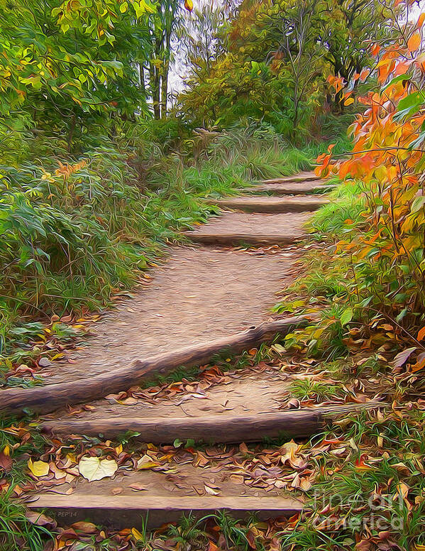 Autumn Poster featuring the digital art Autumn Trails by Phil Perkins