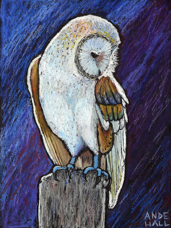 Barn Owl Poster featuring the painting Barn Owl by Ande Hall