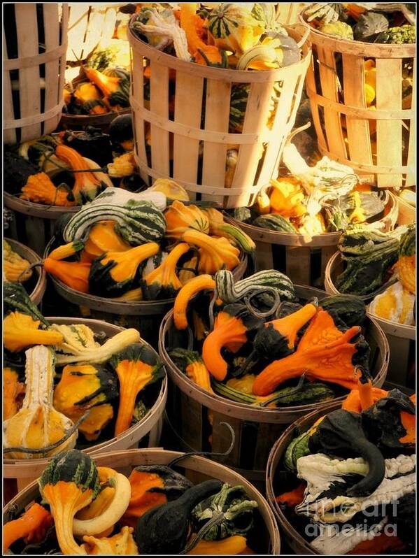 Gourds Poster featuring the photograph Baskets Of Gourds by Beth Ferris Sale