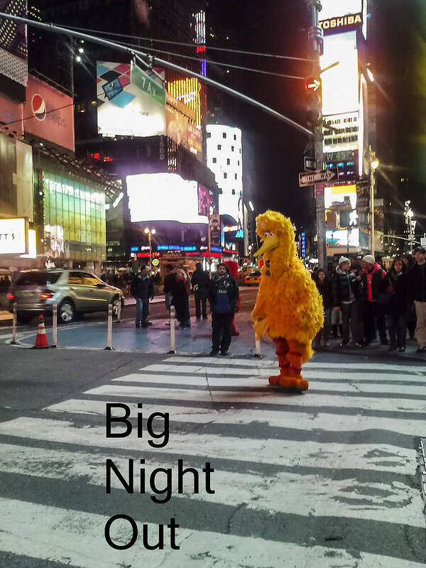 Big Bird Poster featuring the photograph Big Birds Big Night Out in NYC by Scott Campbell
