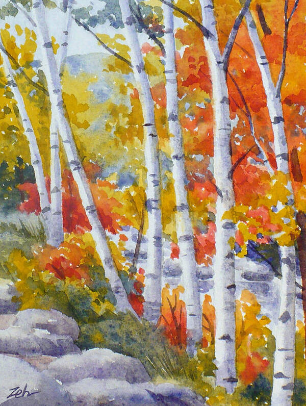 Birch Poster featuring the painting Birches Along the River by Janet Zeh