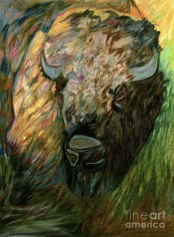 A Bison Poster featuring the drawing Bison by Jon Kittleson