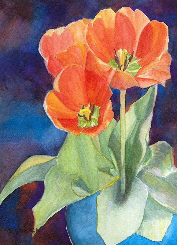 Floral - Flowers Poster featuring the painting Blooming Tulips by Sandy Linden