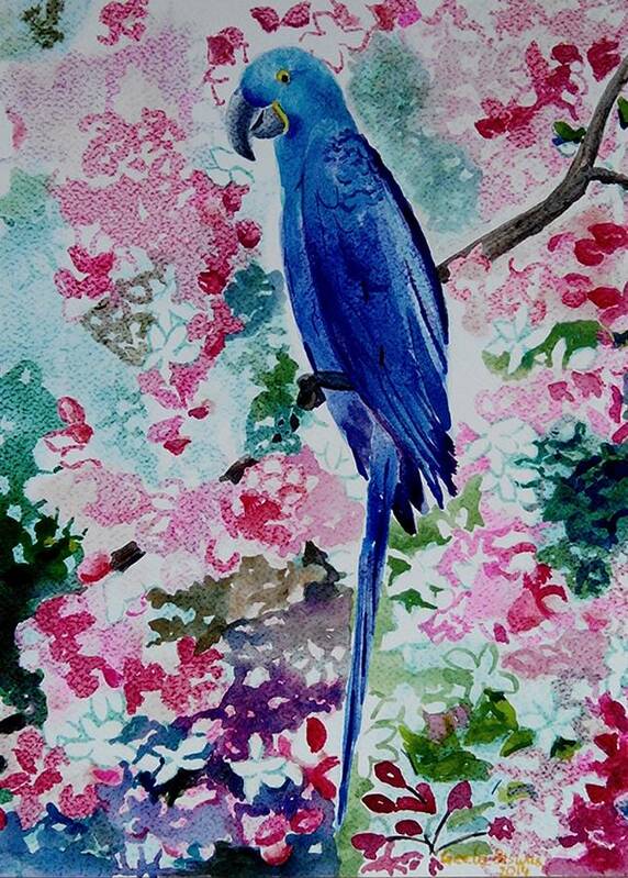 Bluemacaw Poster featuring the painting Blue Macaw by Geeta Yerra