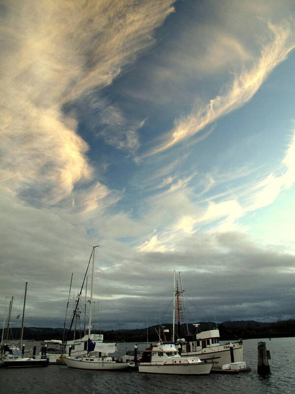 Coos Bay Downtown Boardwalk Boats Poster featuring the photograph Boats in the Breeze by Suzy Piatt