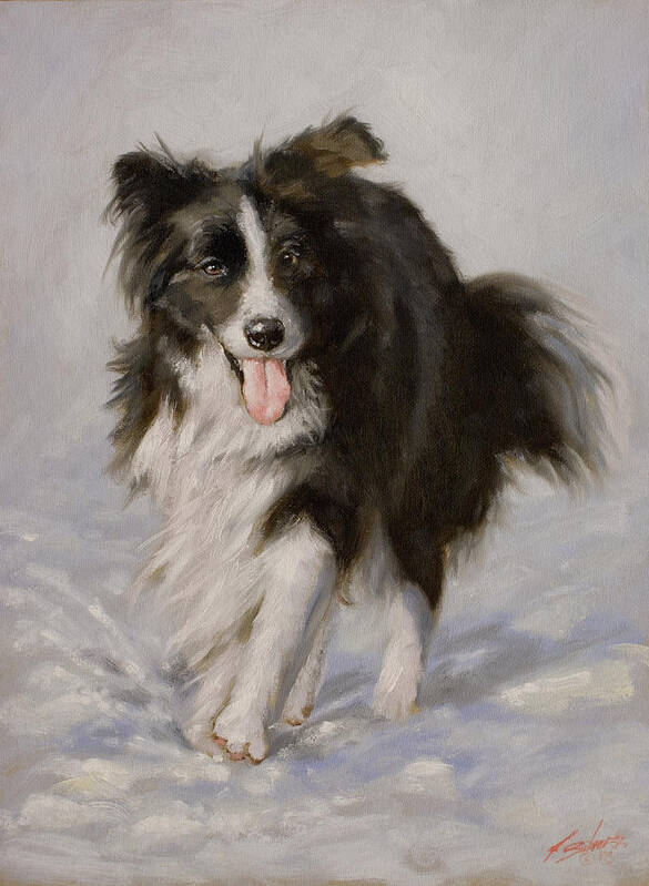 Border Collie Poster featuring the painting Border Collie portrait I by John Silver