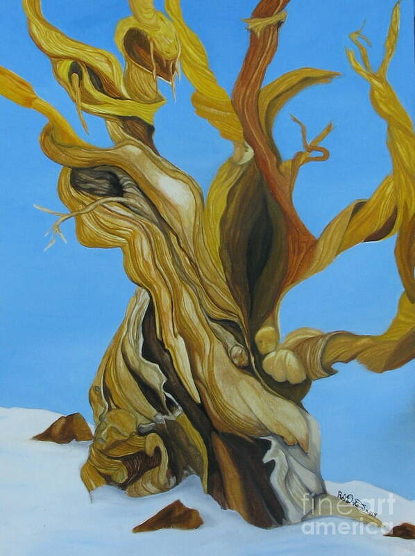 Bristlecone Pine Tree Poster featuring the painting Bristlecone Pine Tree Study #3 by Richard Dotson