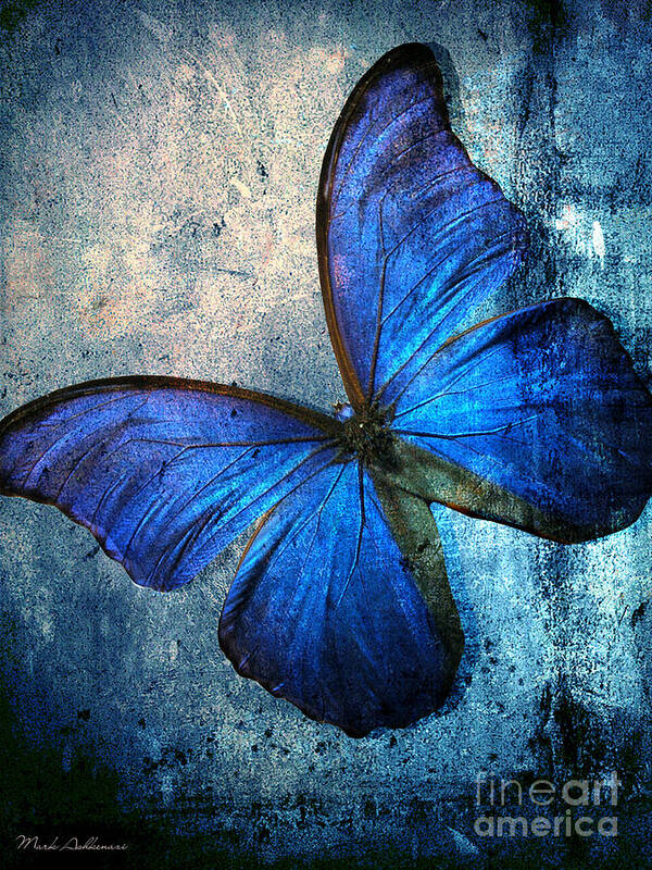 Butterfly Poster featuring the digital art Butterfly by Mark Ashkenazi