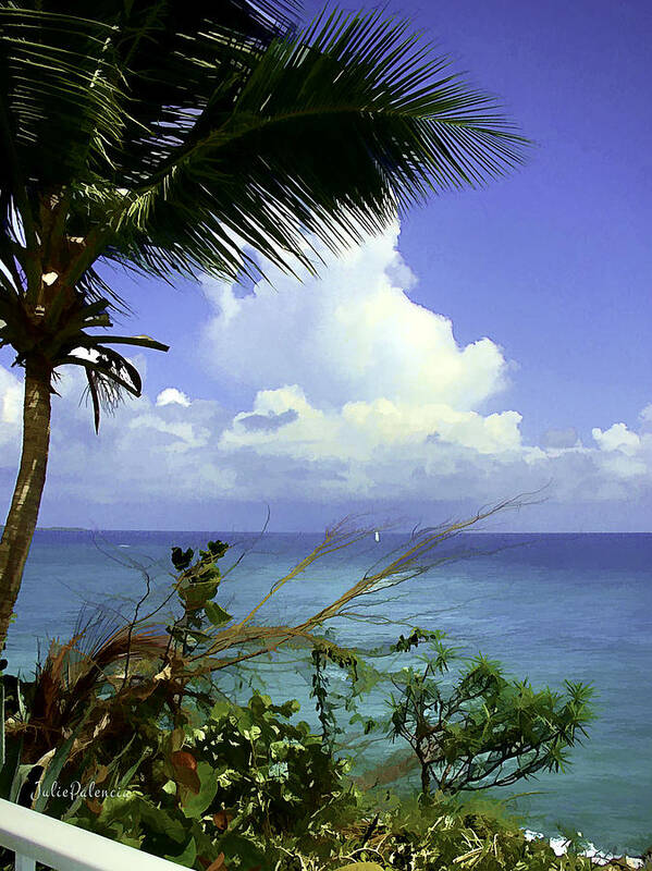 Caribbean Poster featuring the photograph Caribbean Day by Julie Palencia