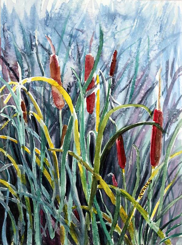 Water Color Poster featuring the painting Cattails by Richard Jules