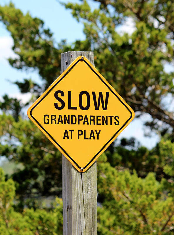 Grandparent Poster featuring the photograph Caution Sign by Cynthia Guinn