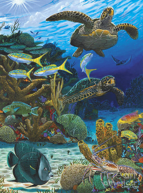 Turtle Poster featuring the painting Cayman Turtles Re0010 by Carey Chen