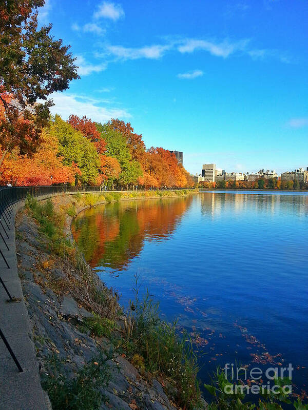 Autumn Poster featuring the photograph Central Park Autumn Landscape by Charlie Cliques