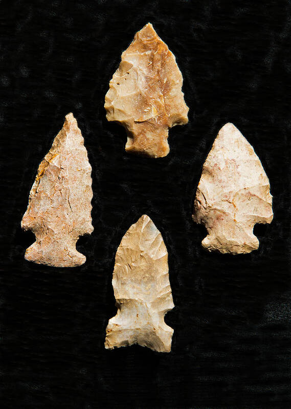 Science Poster featuring the photograph Cherokee Indian Arrowheads by Millard H. Sharp