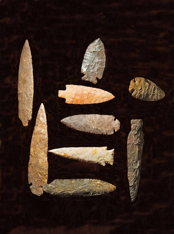 Science Poster featuring the photograph Cherokee Indian Spear And Arrowheads by Millard H. Sharp