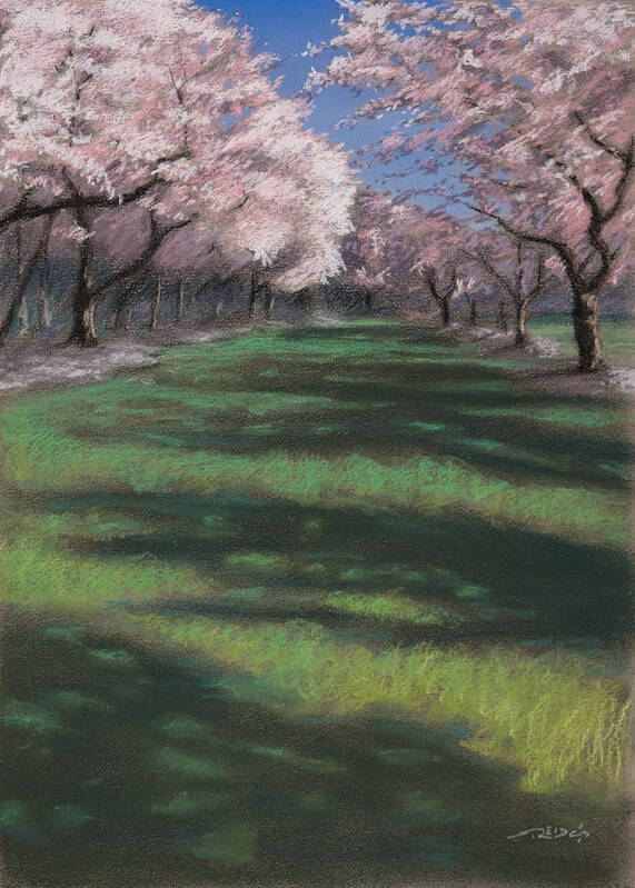 Animal Poster featuring the painting Cherry Blossoms by Christopher Reid