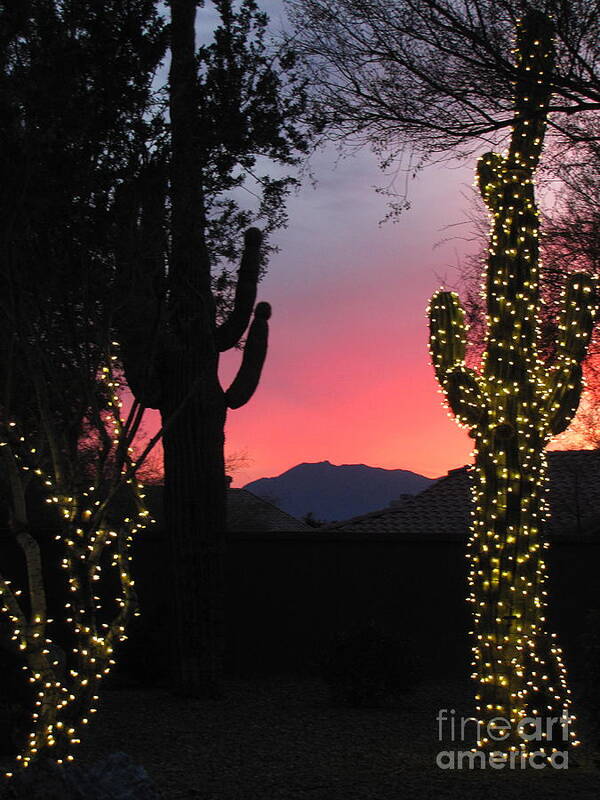 Christmas Lights Poster featuring the photograph Christmas In Arizona by Marilyn Smith