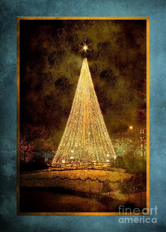 Christmas Poster featuring the photograph Christmas Tree in the City by Cindy Singleton