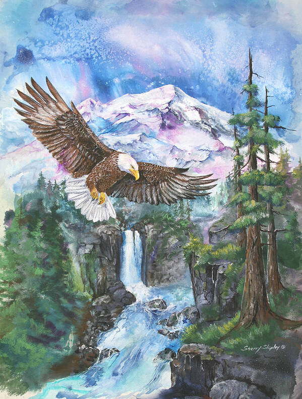 Eagle Poster featuring the painting Cleared for landing Mount Baker by Sherry Shipley