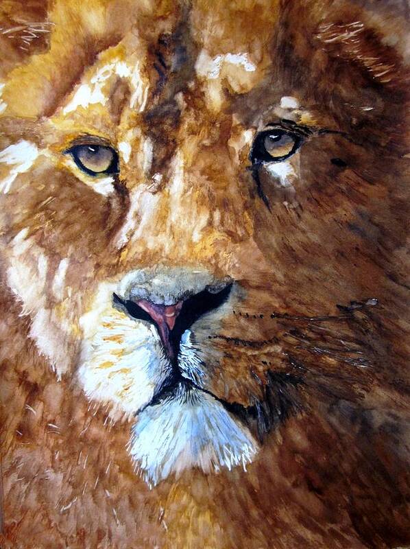 Lioness Poster featuring the painting Close-up by Maris Sherwood