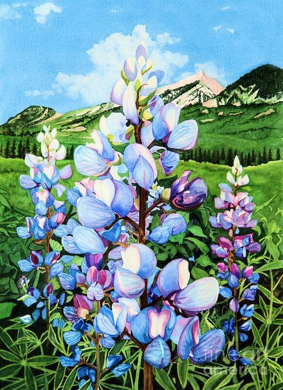 Flowers Poster featuring the painting Colorado Summer Blues by Barbara Jewell