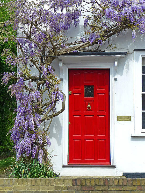 Wisteria Poster featuring the photograph Cottage Door with Wisteria by Gill Billington