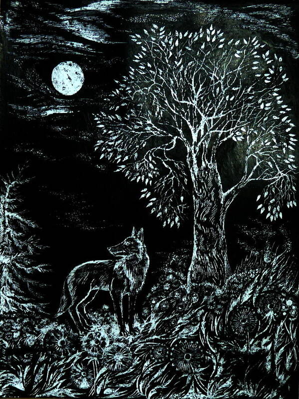 Black And White Poster featuring the drawing Coyote Night by Anna Duyunova