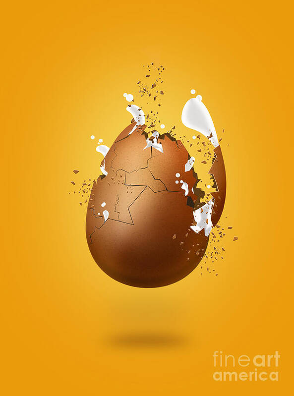 Egg Poster featuring the photograph Cracked Egg by Andrea Aycock