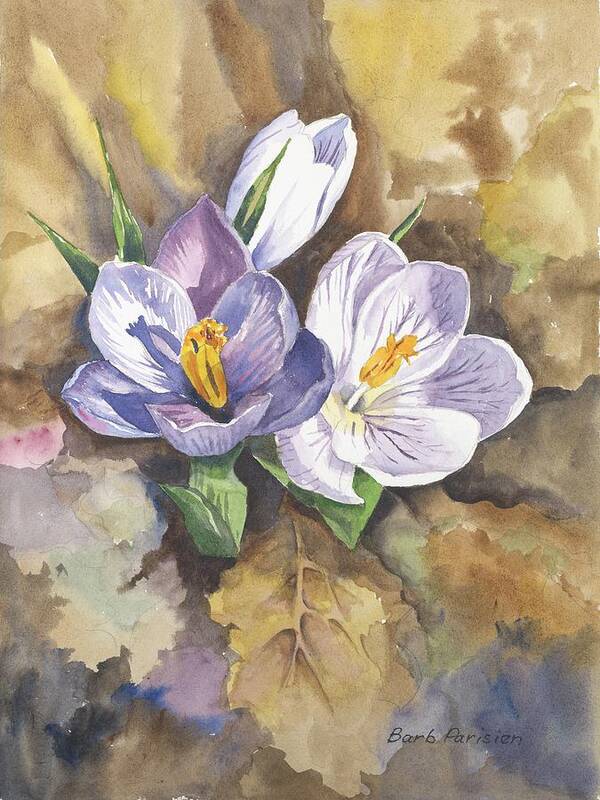 Crocus Poster featuring the painting Crocus by Barbara Parisien