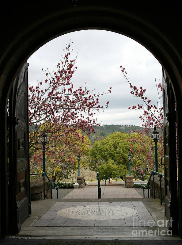 Culinary Institute Poster featuring the photograph Culinary Institute of America at Greystone by Carol Lynn Coronios