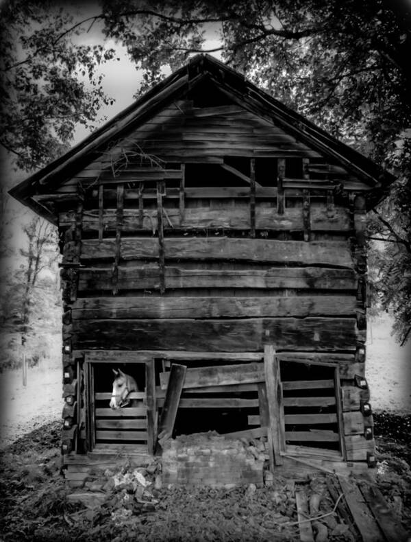 Rustic Cabins Poster featuring the photograph Daniel Boone Cabin by Karen Wiles