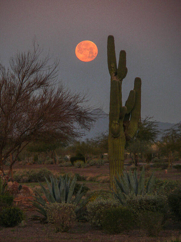 Moon Poster featuring the photograph House Of The Setting Moon by Kimo Fernandez