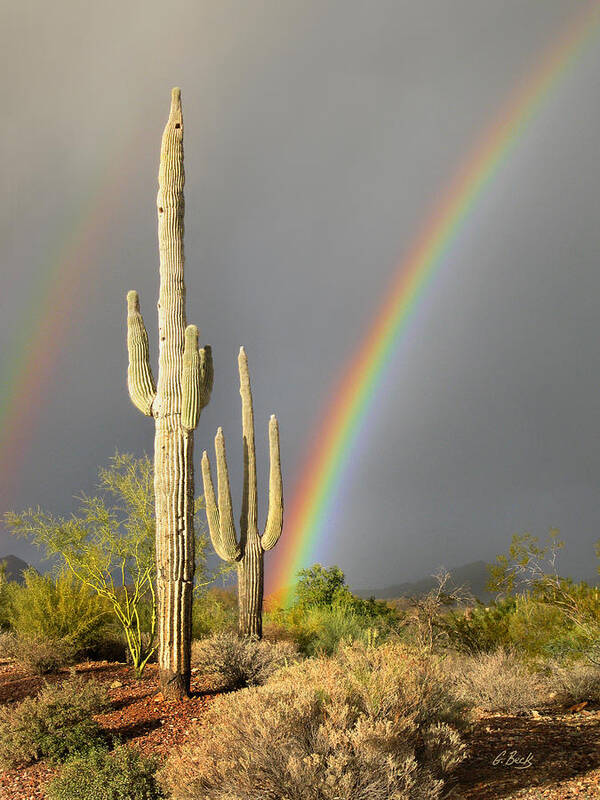 Desert Poster featuring the photograph Desert Rainbow by Gordon Beck