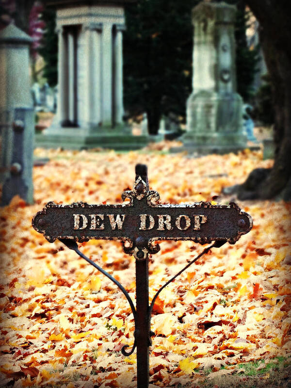 Dew Drop Poster featuring the photograph Dew Drop by Dark Whimsy