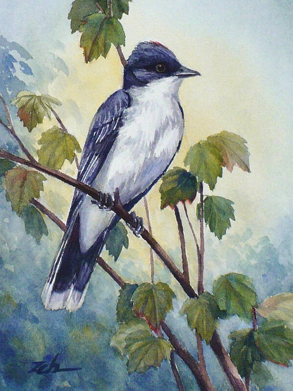 Bird Poster featuring the painting Eastern Kingbird by Janet Zeh