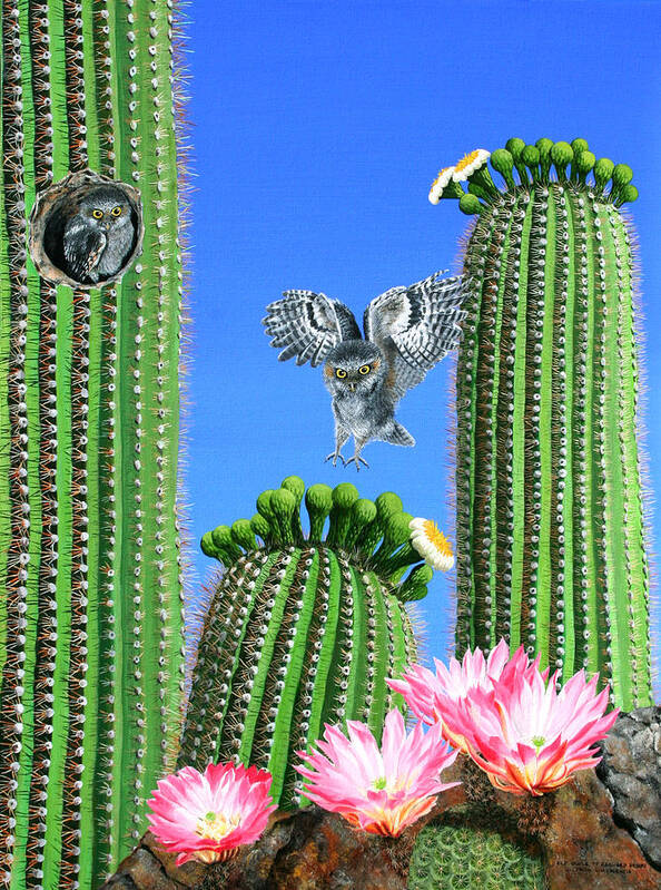 Wildlife Poster featuring the painting Elf Owls of Saguaro Desert by Wilfrido Limvalencia