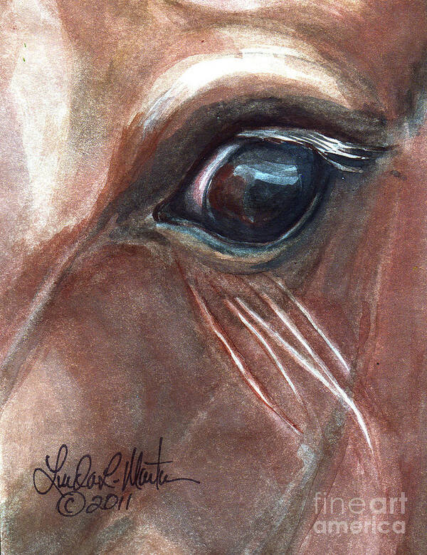 Wild Horse Poster featuring the painting Eyebrow Cat by Linda L Martin