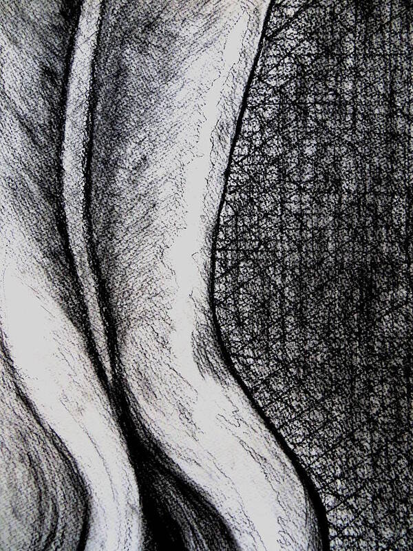 Female Nude Ass Curves Light Black Grey Back Texturw Charcoal Study Soft Wave Skin Poster featuring the drawing Female Nude The Backside by Daniel Dubinsky