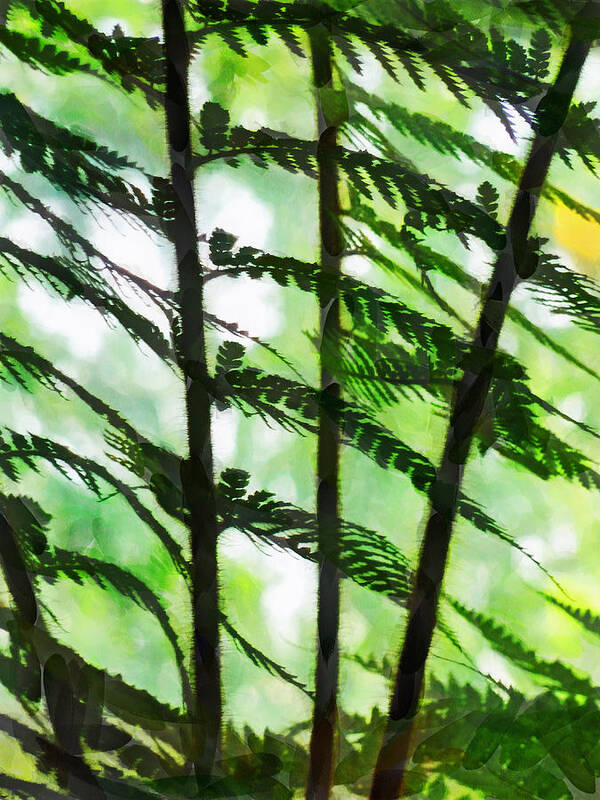 Fern Poster featuring the photograph Fern Light by Steve Taylor