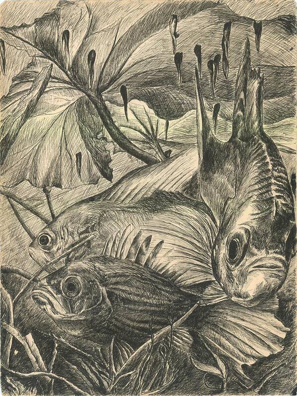 Fish Poster featuring the drawing Fish Haven by Richard Jules