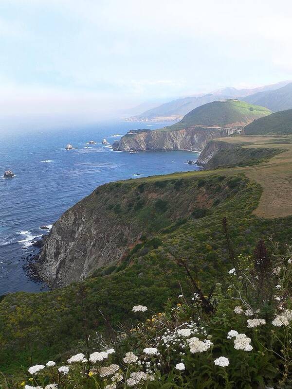 Big Sur Poster featuring the photograph Flowers along the coast by Steve Ondrus