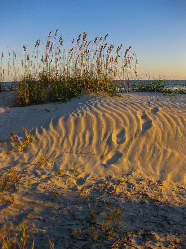 Footprints Poster featuring the photograph Footprints by Patricia Schaefer