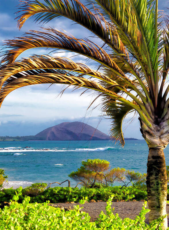 Hawaii Poster featuring the photograph Four Seasons 110 by Dawn Eshelman