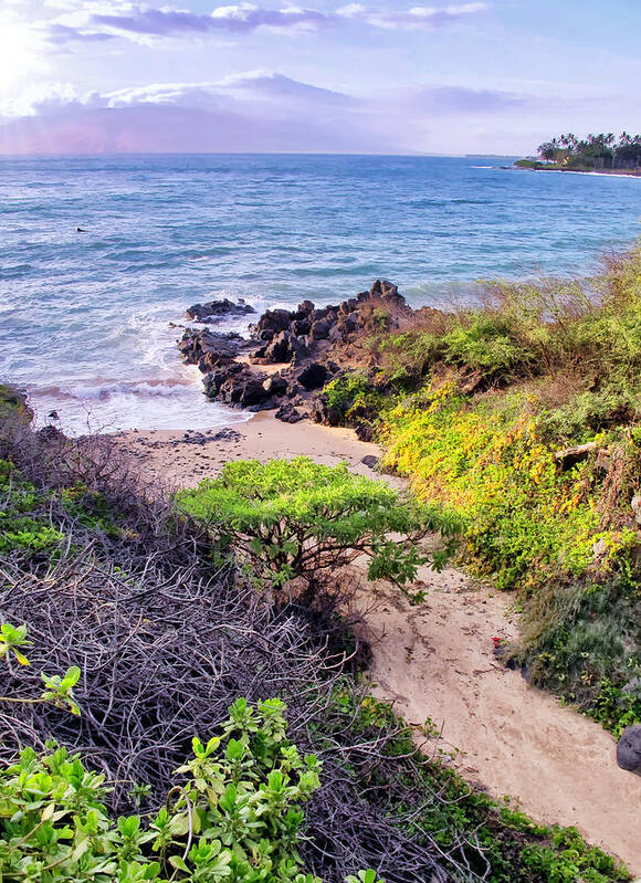 Hawaii Poster featuring the photograph Four Seasons 125 by Dawn Eshelman