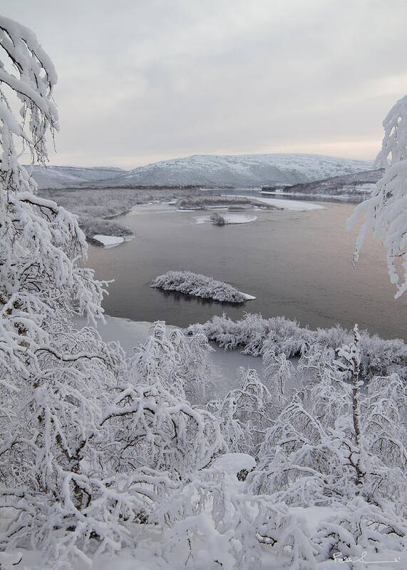 Frost Poster featuring the photograph Frosty Landscape by Pekka Sammallahti