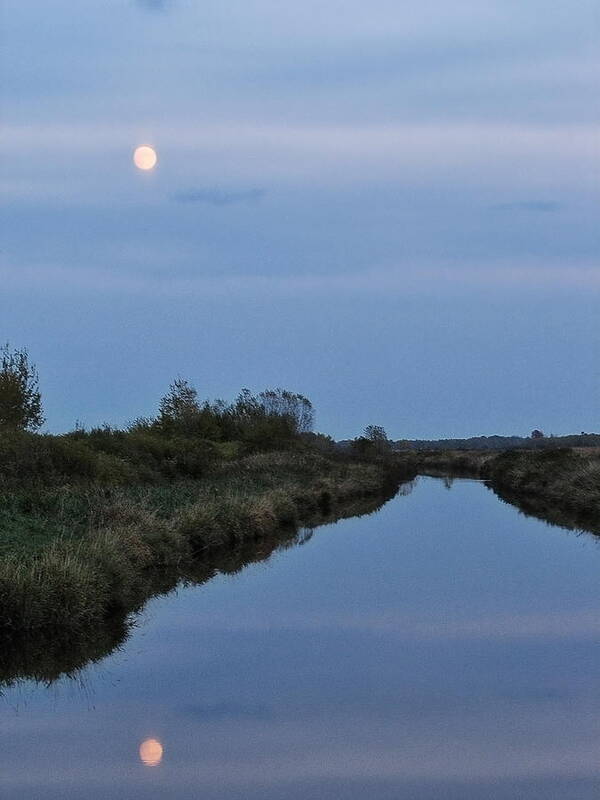 Mead Poster featuring the photograph Full Moon Rising Over The Marsh by Dale Kauzlaric